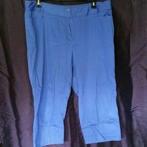 Lane Bryant Blue Dress Capri's